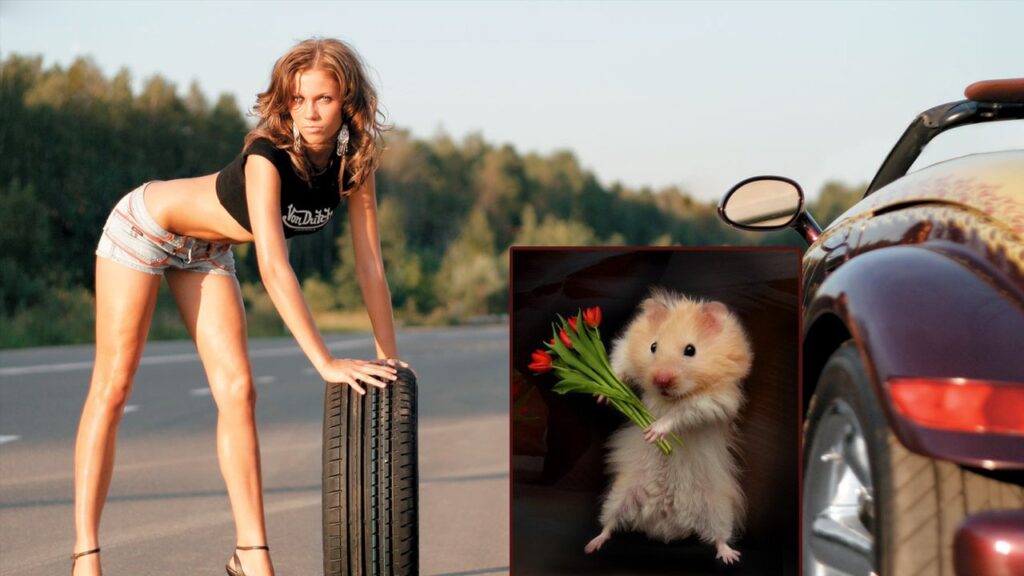 Почему женщины врут, что выходят замуж