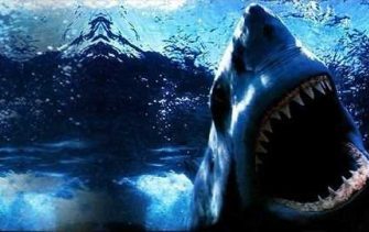 тайна женщины