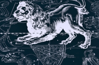 Просто разговор с читателем