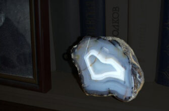 Совет распустить