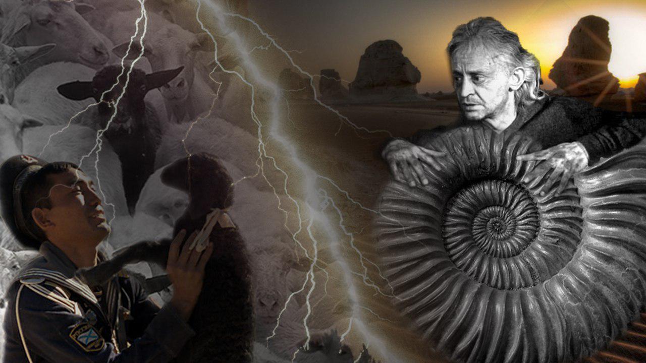 бараны аксакалы и свадьба