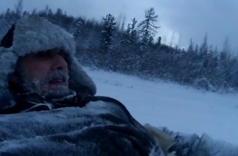 некоторые детали пребывания прядки в тайге