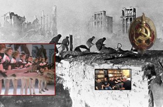 странное поведение жён чекистов сталинградской битве война мир