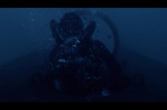 удар морского котика