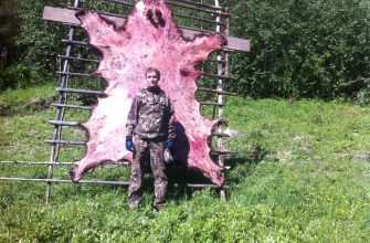 уроки таёжного охотника