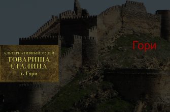 почему товарищ сталин для своего рождения выбрал именно гори