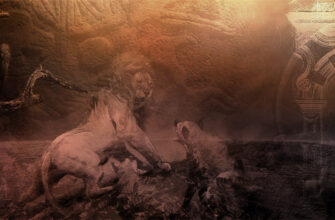 айсам магрибский архитектор