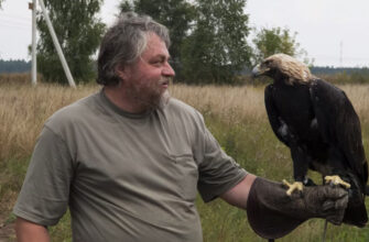 Первый выход на орлов (Меняйлов)