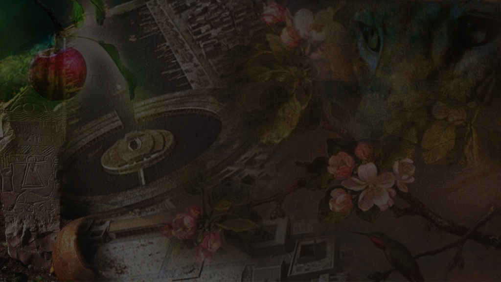 какую проблему голоса земли карфагена римляне решили солью