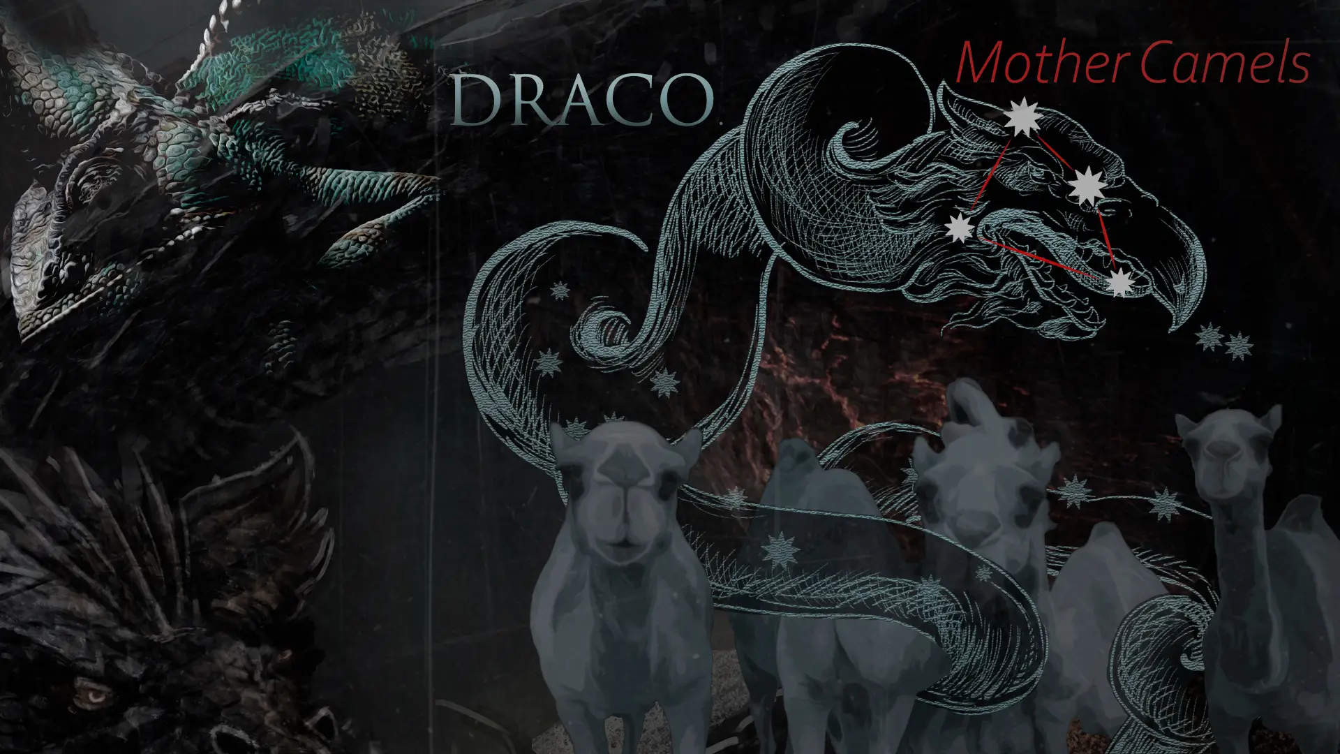 глаз дракона забой верблюда